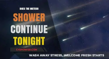 Will the Meteor Shower Continue Tonight? Here's What to Expect