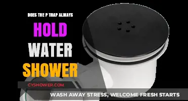 Does Your Shower P-Trap Always Hold Water? Here's Why