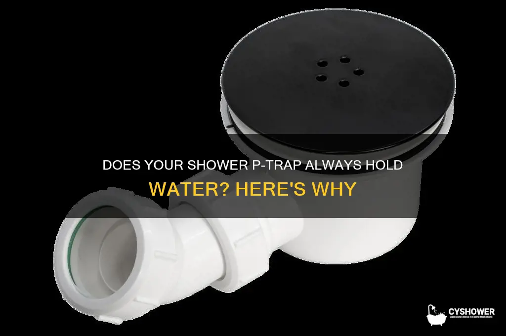does the p trap always hold water shower