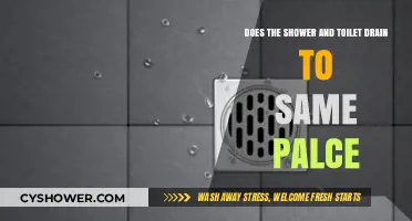 Do Showers and Toilets Share the Same Drain? Plumbing Explained
