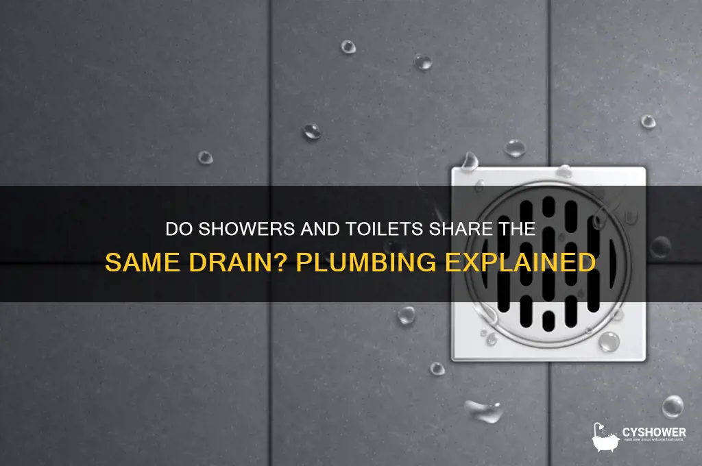 does the shower and toilet drain to same palce