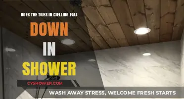 Can Ceiling Tiles Fall in the Shower? Causes and Prevention Tips