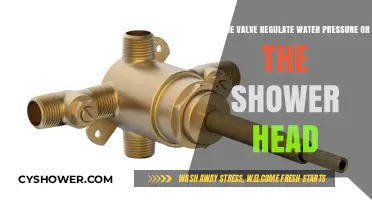 Valve vs. Shower Head: Which Controls Your Water Pressure?