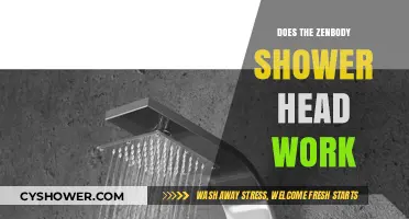 Does the ZenBody Shower Head Deliver on Its Promises?