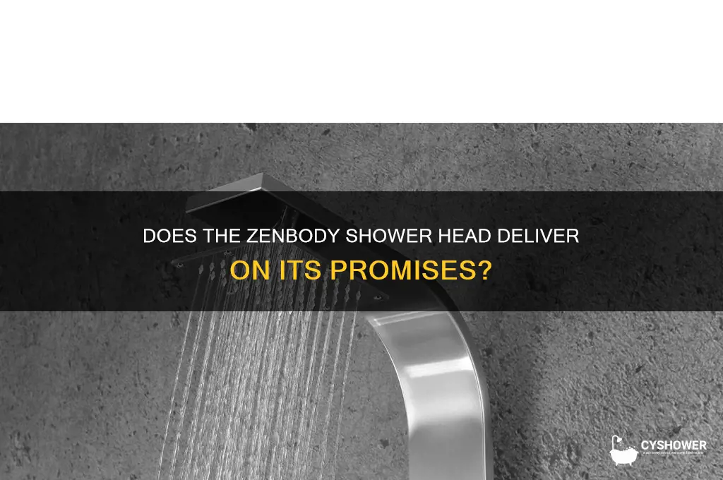does the zenbody shower head work
