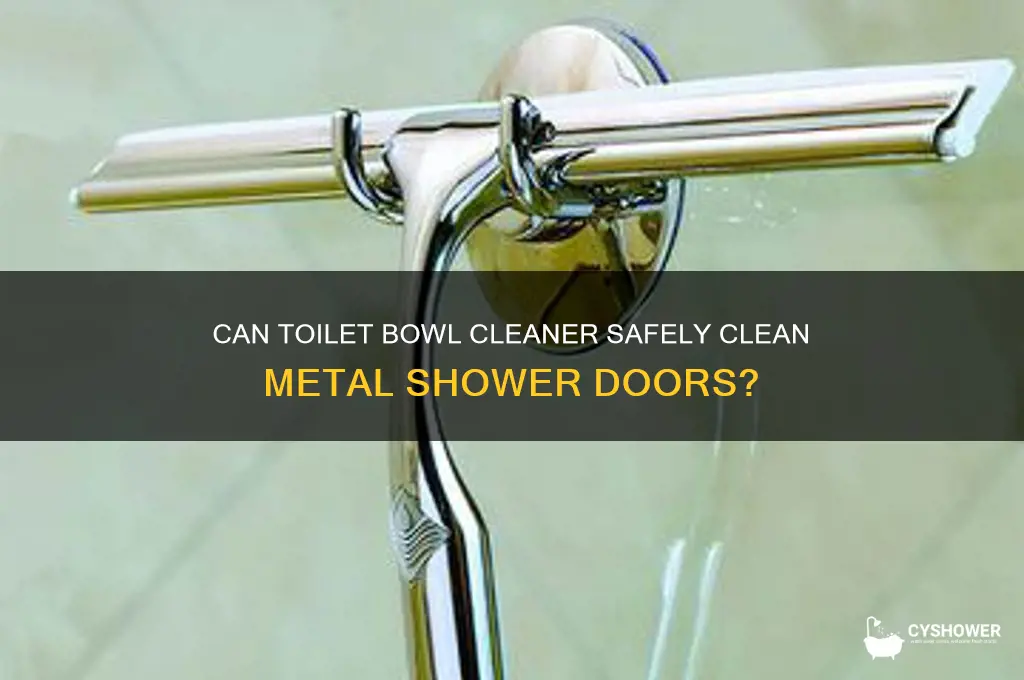 does toilet bowl cleaner work on metal shower doors