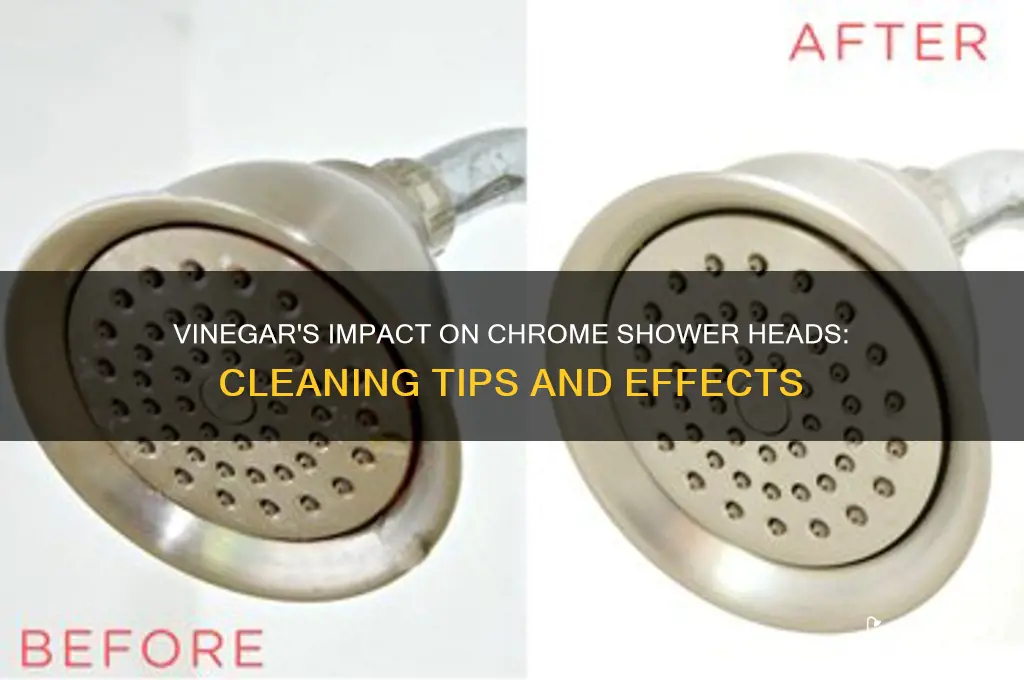 does vinegar affect chrome shower head