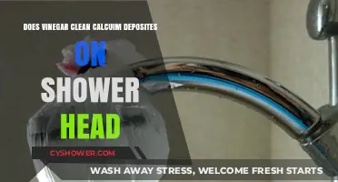Vinegar's Power: Removing Calcium Deposits from Your Shower Head