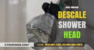 Vinegar Descaling: Effective Shower Head Cleaning Hack Revealed