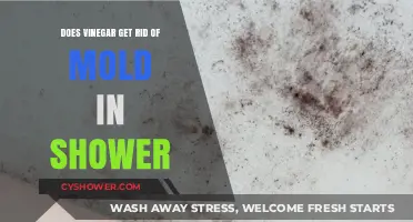 Vinegar's Power: Effective Mold Removal Solution for Your Shower