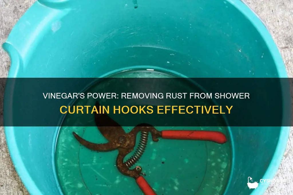 does vinegar get rid of rust on shower curtaing hooks