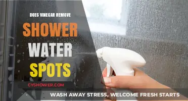 Vinegar's Power: Removing Shower Water Spots Effectively and Easily