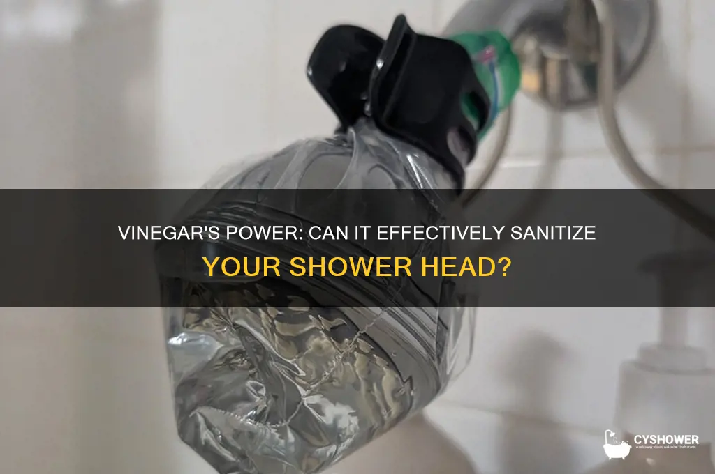 does vinegar sanitize a shower head