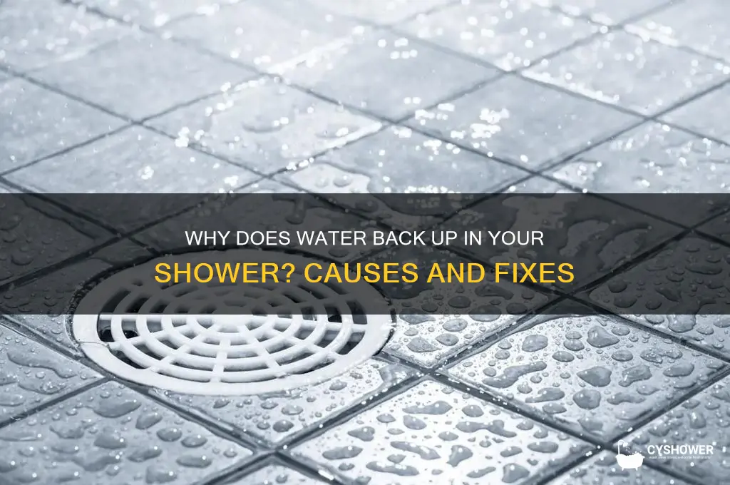 does water back up to the shower
