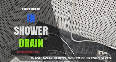 Why Water Pools in Your Shower Drain and How to Fix It