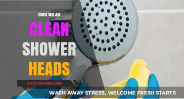 WD-40 for Shower Heads: Effective Cleaner or Myth?