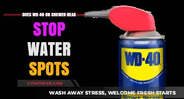 WD-40 on Shower Heads: Effective Solution for Preventing Water Spots?