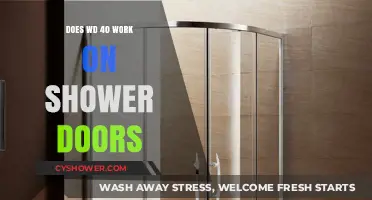 WD-40 for Shower Doors: Effective Solution or Myth?