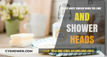 White Vinegar's Power: Cleaning Lime and Shower Heads Effectively