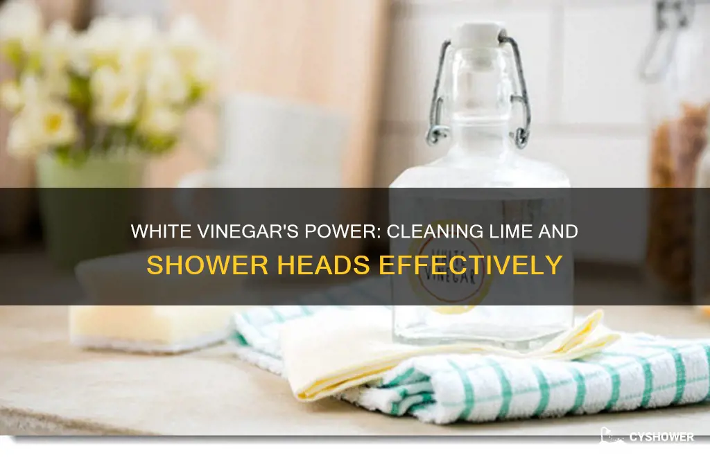 does white vinegar work for lime and shower heads