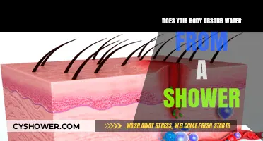 Can Your Skin Absorb Water During a Shower? The Truth Revealed