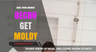 Preventing Mold on Your Shower Bench: Tips for a Clean Bathroom