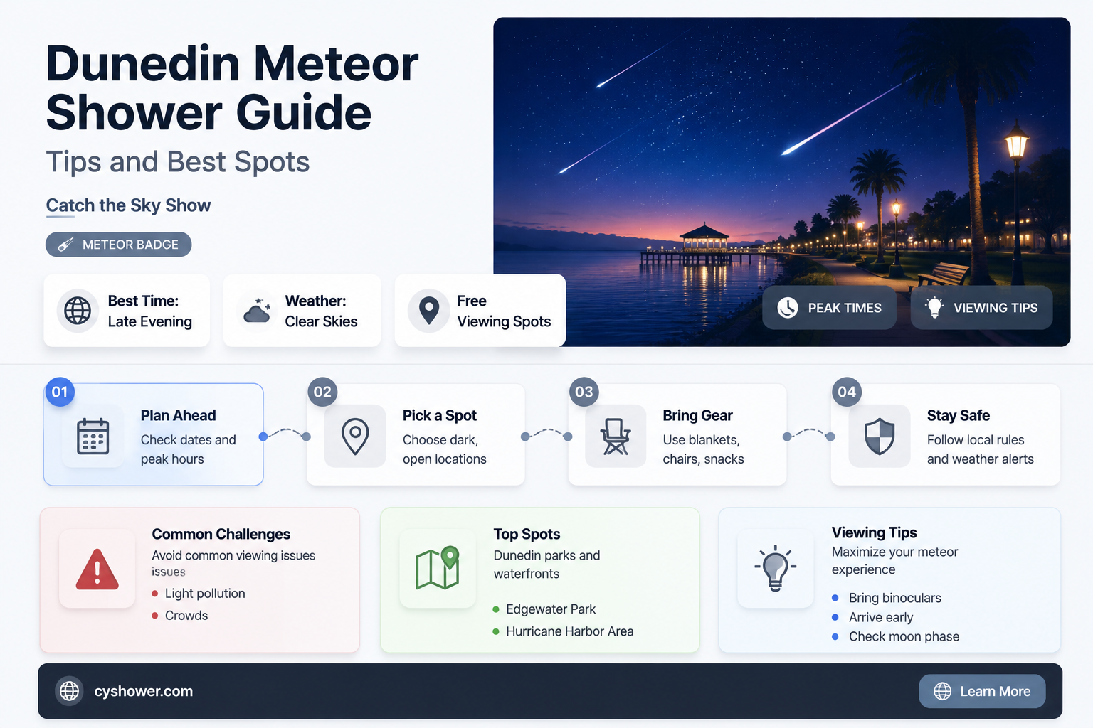 can i see the meteor shower in dunedin fl