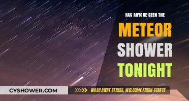 Meteor Shower Tonight: Did Anyone Catch the Celestial Spectacle?