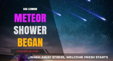 Has the Leonid Meteor Shower Begun? What to Expect This Year