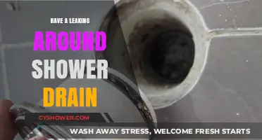 Fixing a Leaking Shower Drain: Causes, Solutions, and Prevention Tips