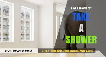 Have a Shower or Take a Shower: Unraveling the Correct Phrase