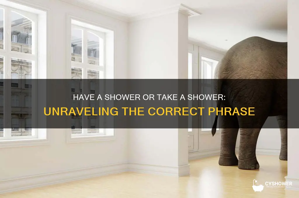 have a shower czy take a shower