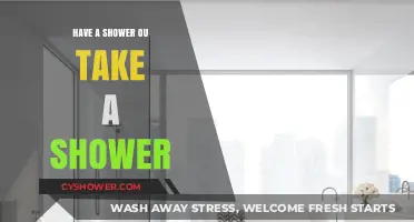 Shower Confusion: Unraveling the Debate of 'Have' vs. 'Take' a Shower