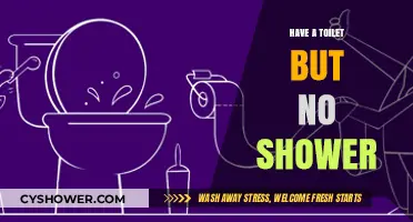 Freshening Up: How to Stay Clean When You Have a Toilet but No Shower