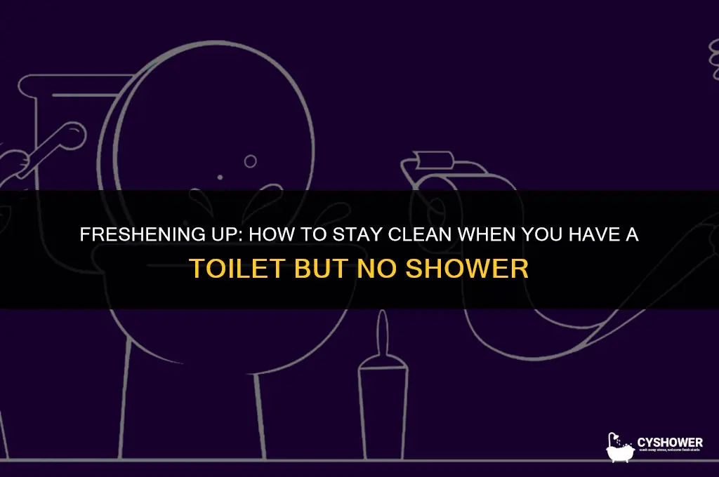 have a toilet but no shower