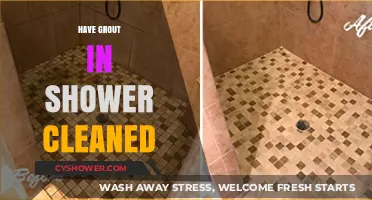 Revive Your Shower: A Guide to Grout Cleaning Mastery