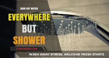 Hot Water Everywhere Except Shower: Troubleshooting Your Home Plumbing