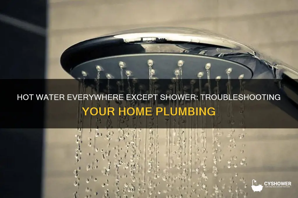 have hot water everywhere but shower