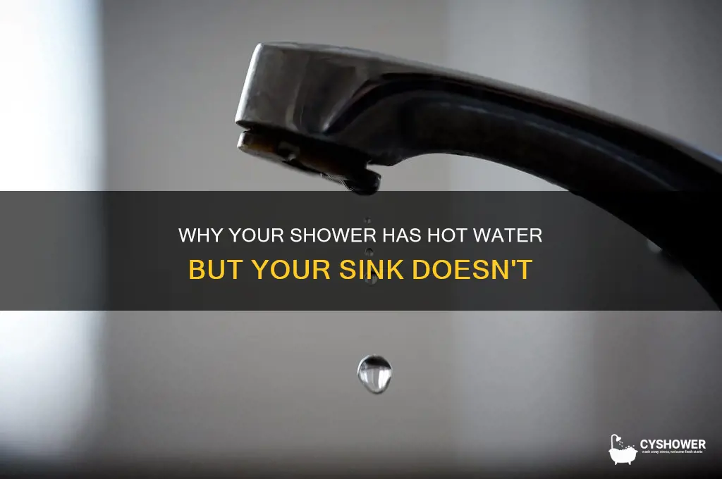 have hot water in shower but not in sink