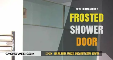 Have I Damaged My Frosted Shower Door? Quick Fixes and Prevention Tips