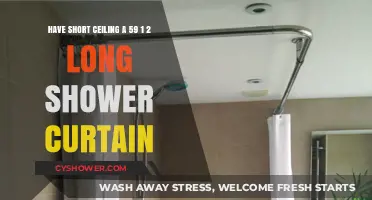 Maximize Space: Choosing the Right Shower Curtain for Low Ceilings