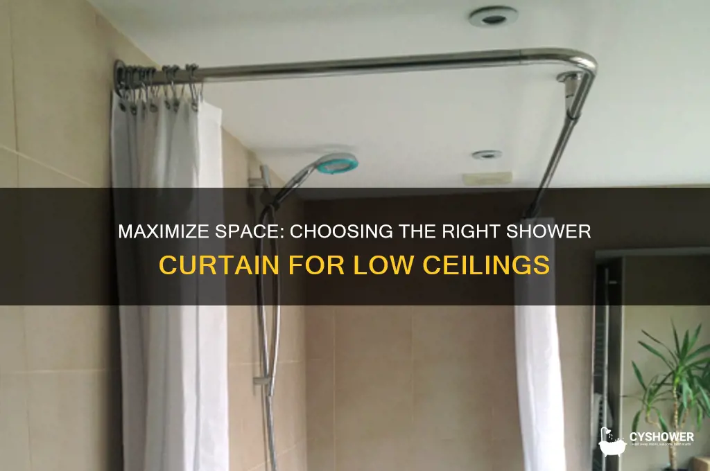 have short ceiling a 59 1 2 long shower curtain