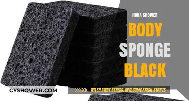Revitalize Your Shower Routine with the Ultimate Black Body Sponge