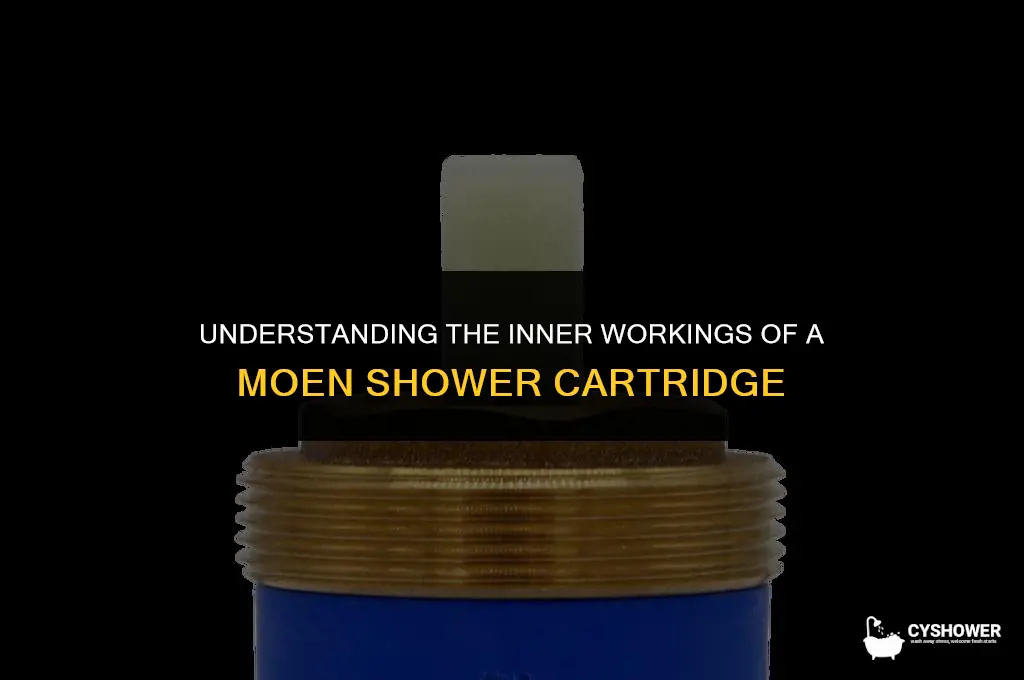 how a moen shower cartridge works
