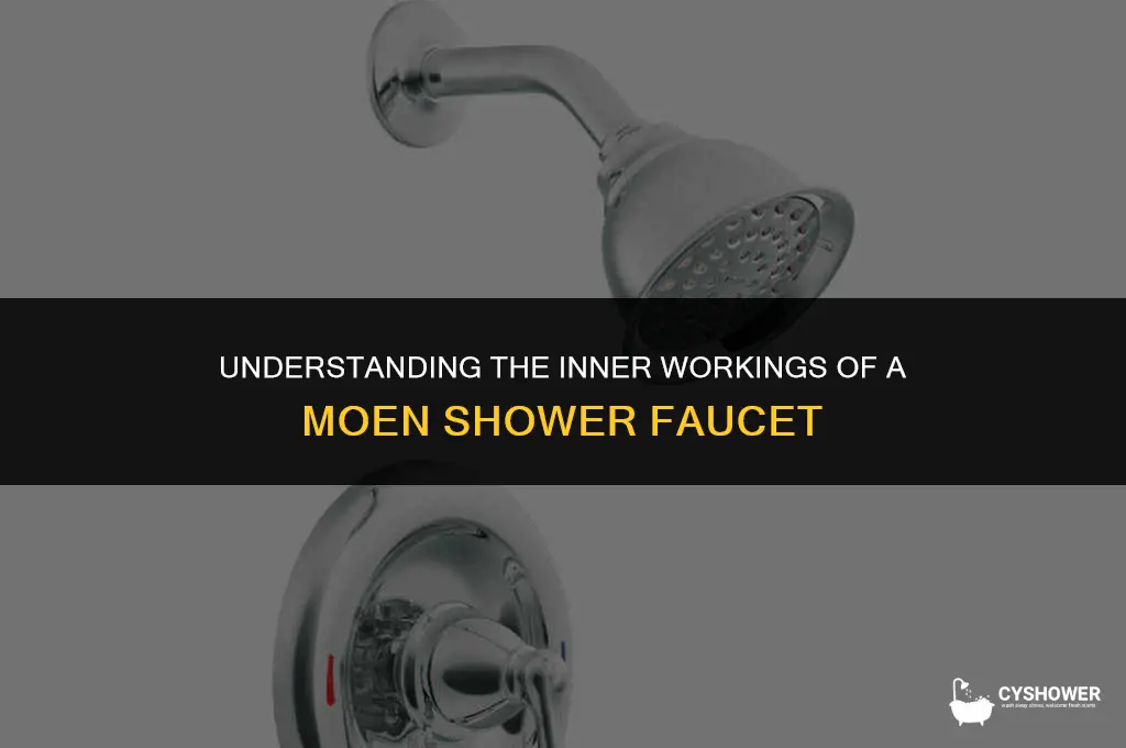 how a moen shower faucet works