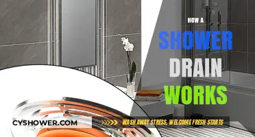 Understanding Your Shower Drain: A Simple Guide to Its Functionality