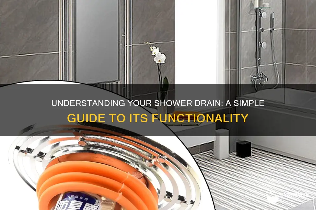 how a shower drain works