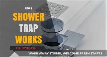 Understanding Shower Traps: A Comprehensive Guide to Their Functionality