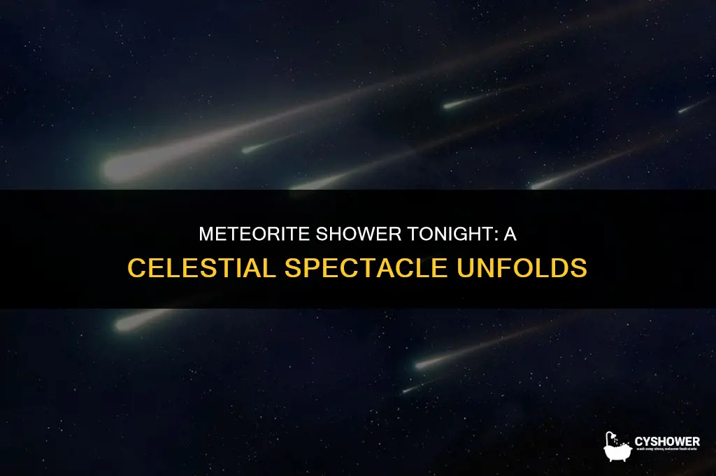 how active is meteorite shower tonight
