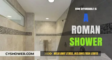 Exploring the Cost of Installing a Roman Shower